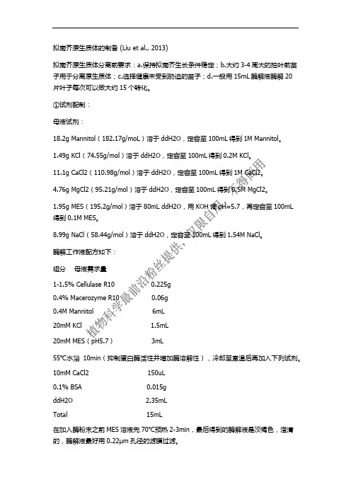 拟南芥原生质体制备