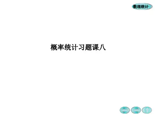 概率统计习题课八xin