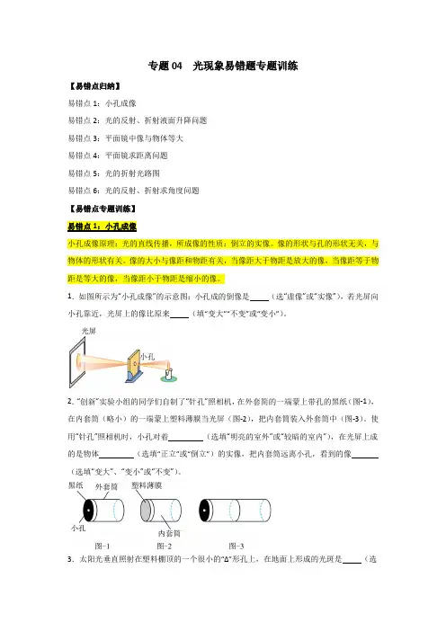 专题04  光现象易错题专题训练(原卷版)-2024-2025学年八年级物理上学期期末专题复习(人教