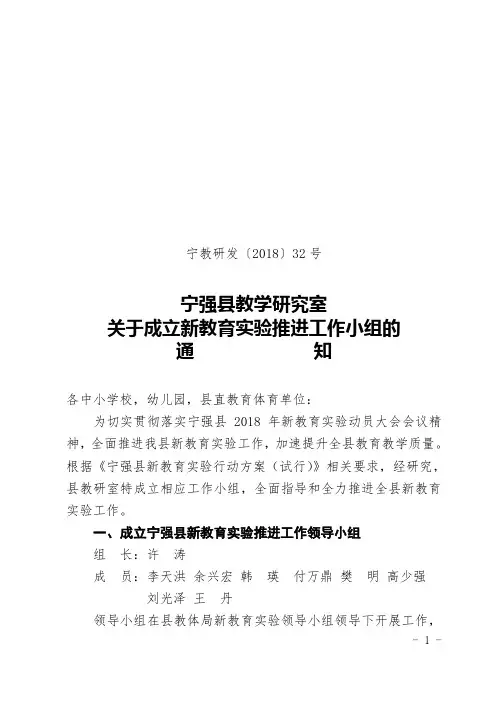 新教育实验