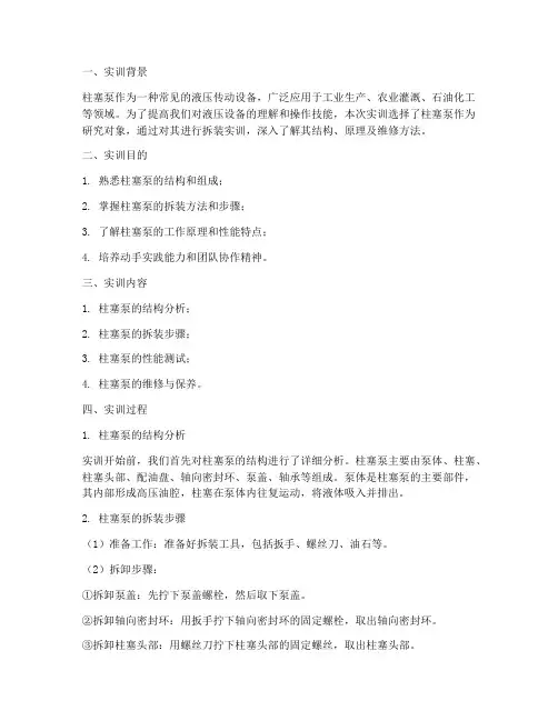柱塞泵拆装的实训报告
