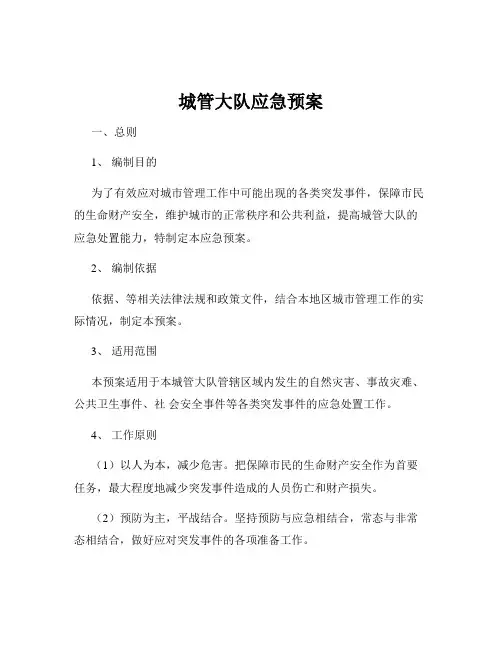 城管大队应急预案