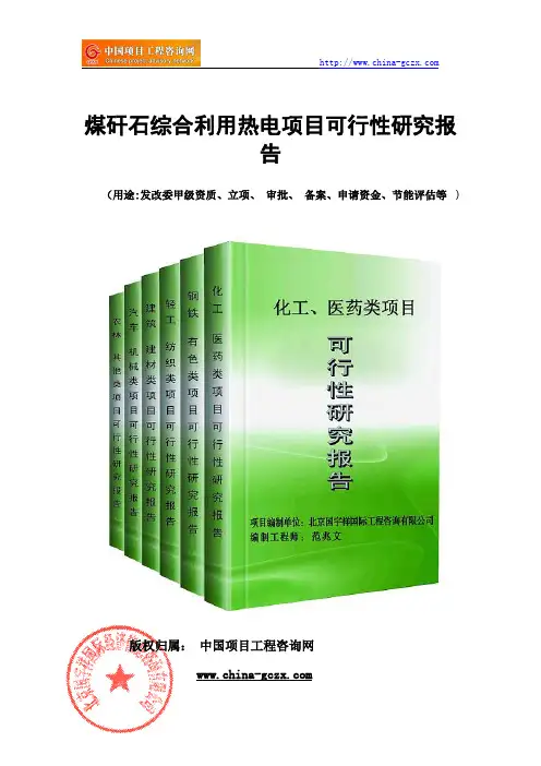 煤矸石综合利用热电项目可行性研究报告(案例分析案例分析)