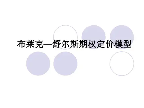 布莱克—舒尔斯期权定价