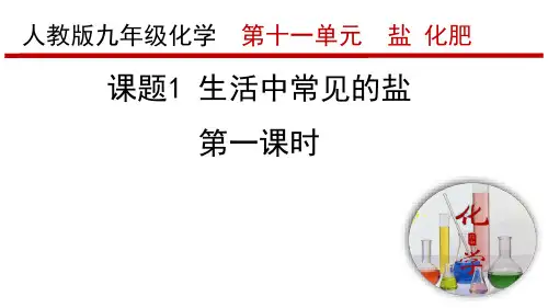 人教版九年级下册 第十一单元-课题1.1生活中常见的盐课件(共19张PPT)