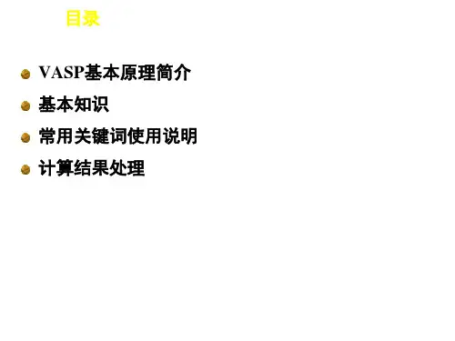 vasp介绍与设置