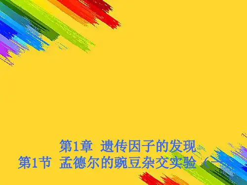 高中生物必修二全册课件