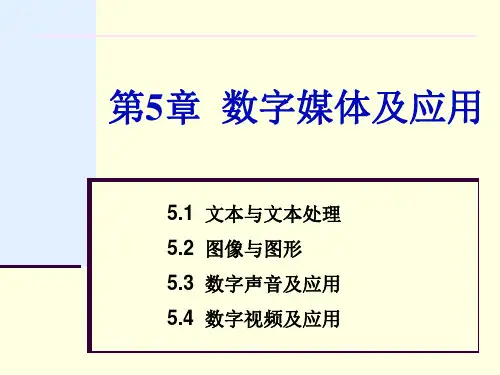 数字媒体