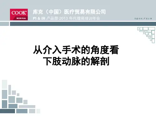 下肢动脉解剖精品PPT课件