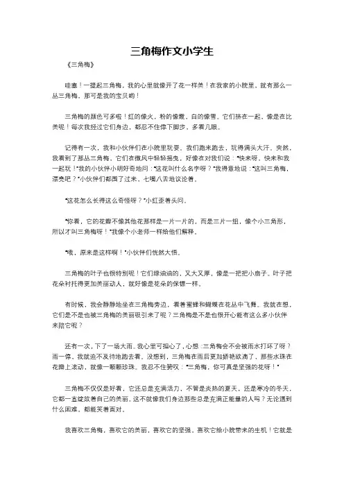 三角梅作文小学生