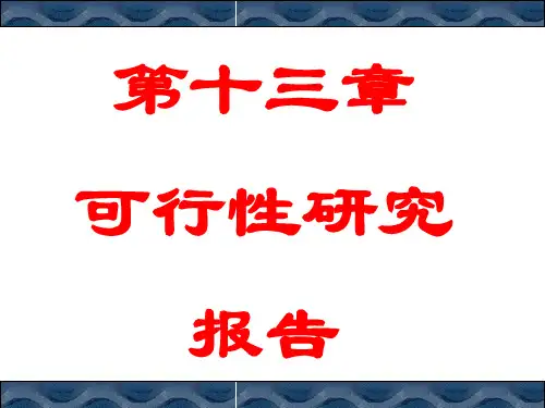 《可行性研究报告》PPT课件