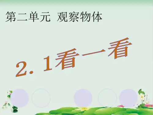 一年级数学下册精品课件：看一看(北师大版)