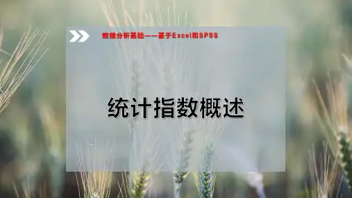 统计指数概述