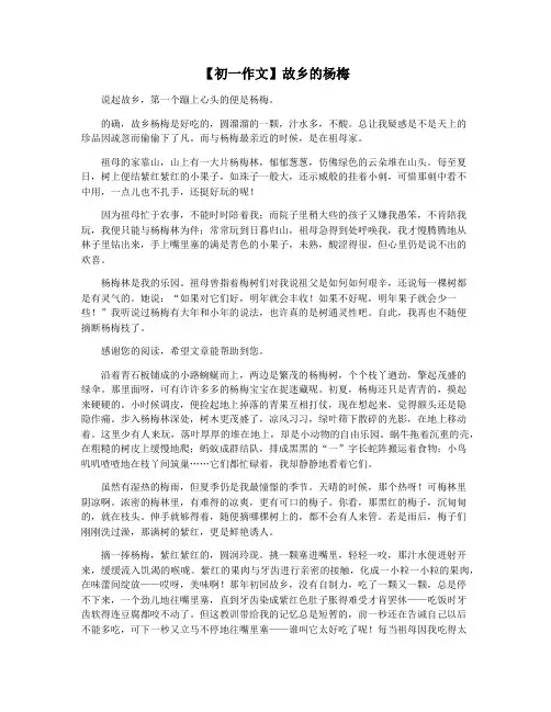 【初一作文】故乡的杨梅