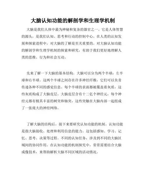 大脑认知功能的解剖学和生理学机制