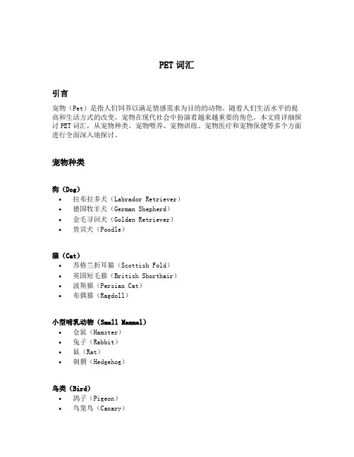 pet 词汇