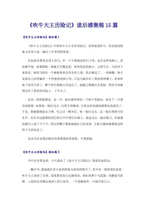 《吹牛大王历险记》读后感集锦15篇