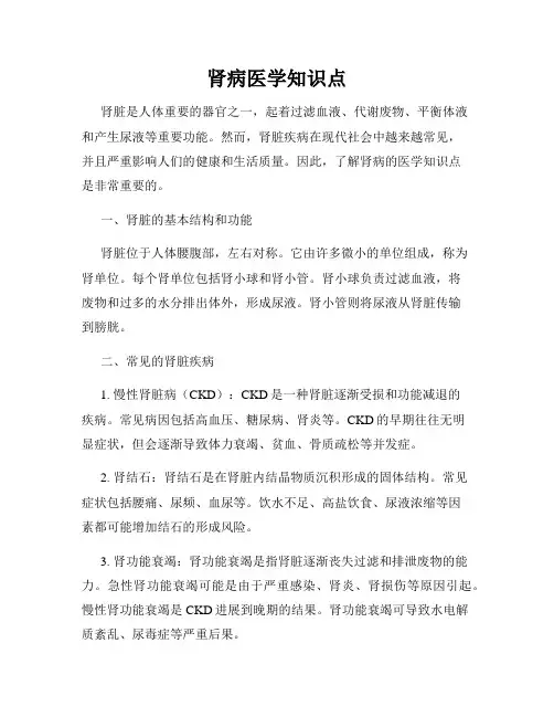 肾病医学知识点