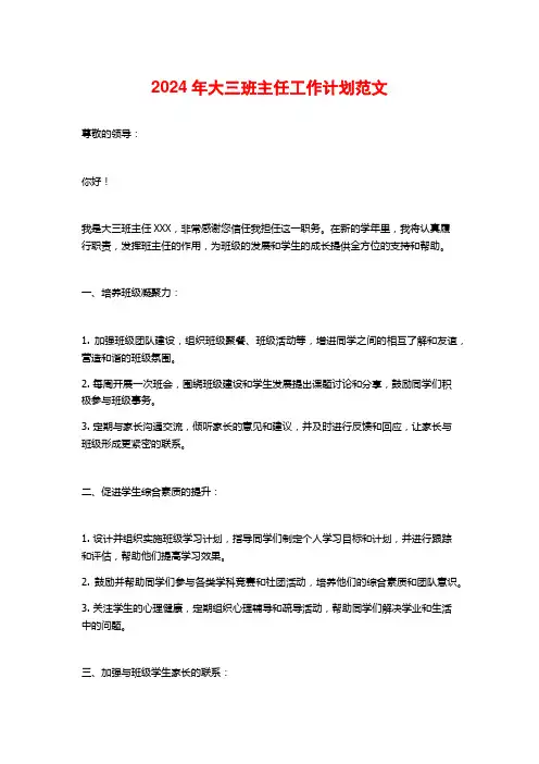2024年大三班主任工作计划范文