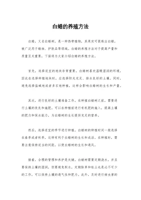 白蜡的养殖方法