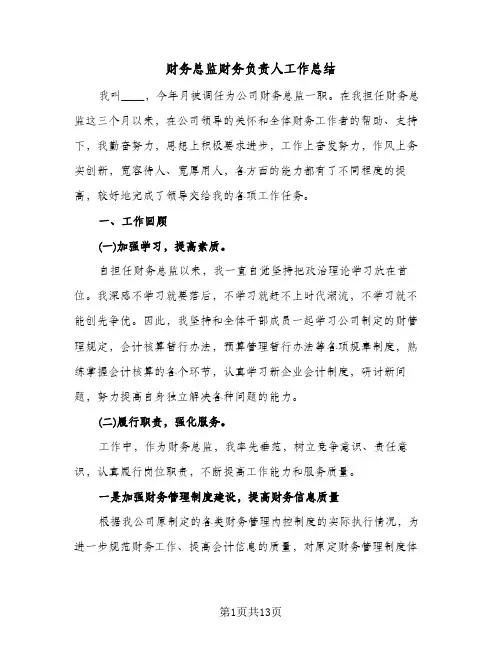 财务总监财务负责人工作总结（3篇）