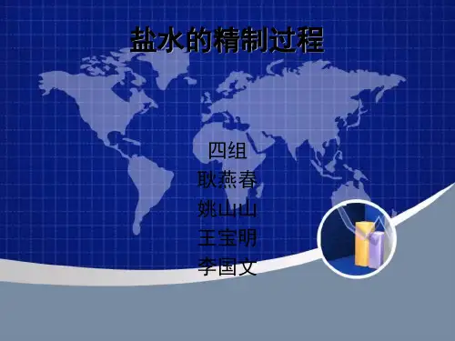 盐水的精制过程第二次作业(四组)