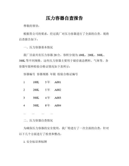 压力容器自查报告