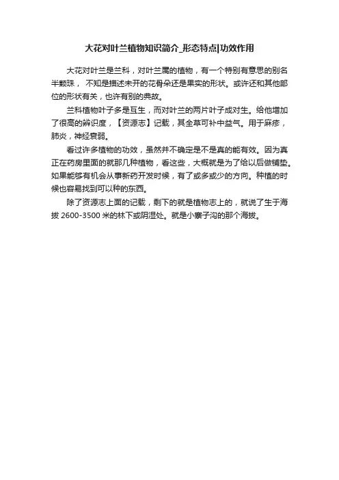 大花对叶兰植物知识简介_形态特点功效作用