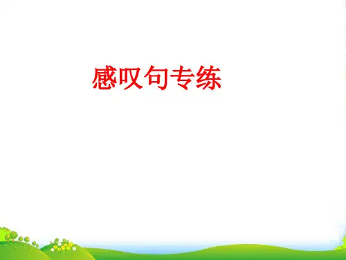 人教九年级Unit 2 感叹句课件(共19张PPT)