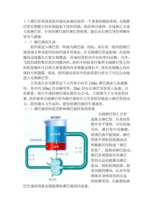 淋巴循环