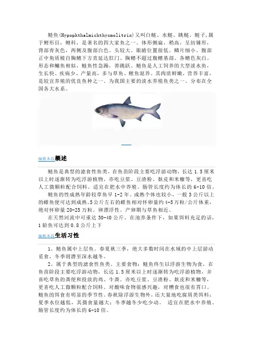 鲢鱼与鳙鱼-百科