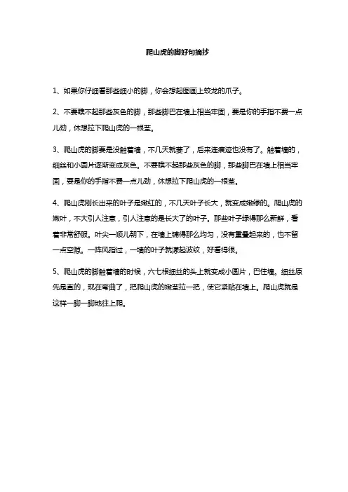 爬山虎的脚好句摘抄