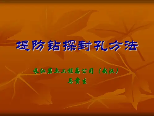 堤防钻探封孔方法