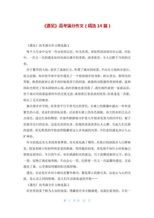 《遇见》高考满分作文(精选14篇)
