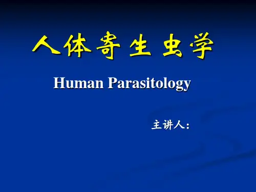 6.猪带绦虫.牛带绦虫.细粒棘球绦虫(2学时)课件