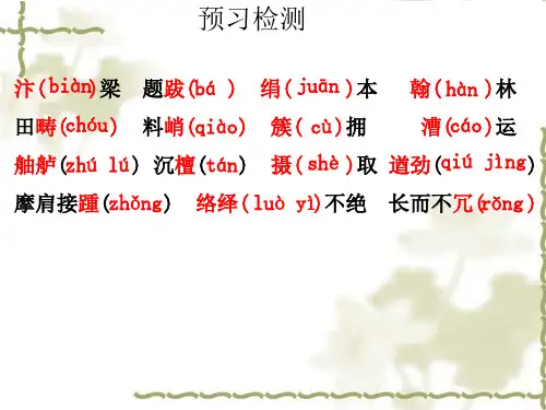 20梦回繁华  PPT课件