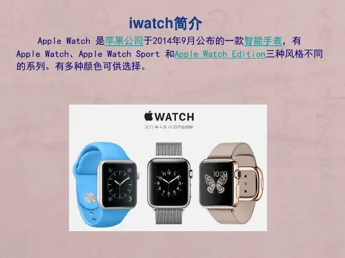 iwatch营销计划书