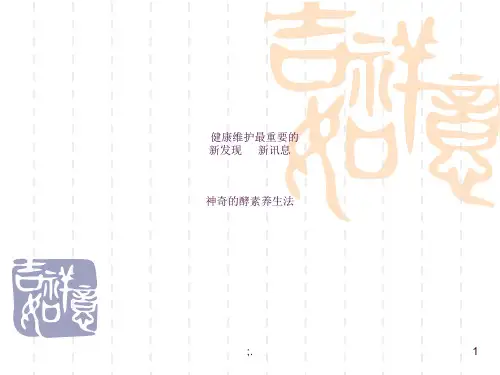 酵素演讲ppt课件