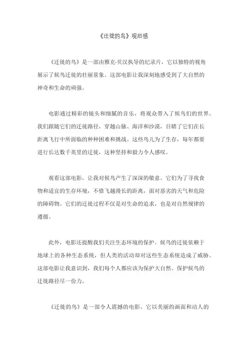 《迁徙的鸟》观后感