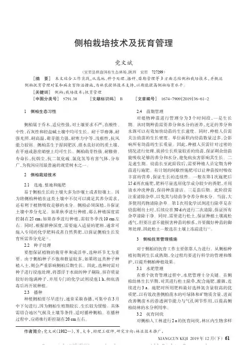 侧柏栽培技术及抚育管理