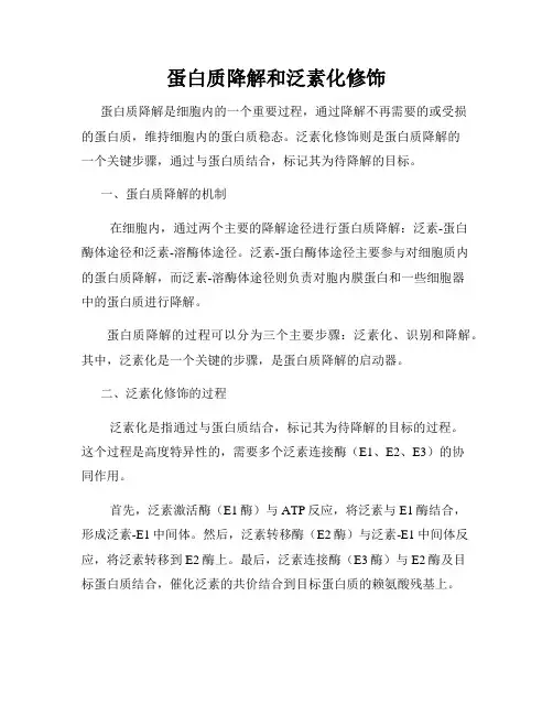 蛋白质降解和泛素化修饰