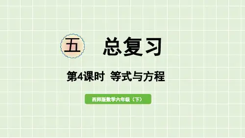 数学六年级下册西师大版五总复习第4课时等式与方程课件