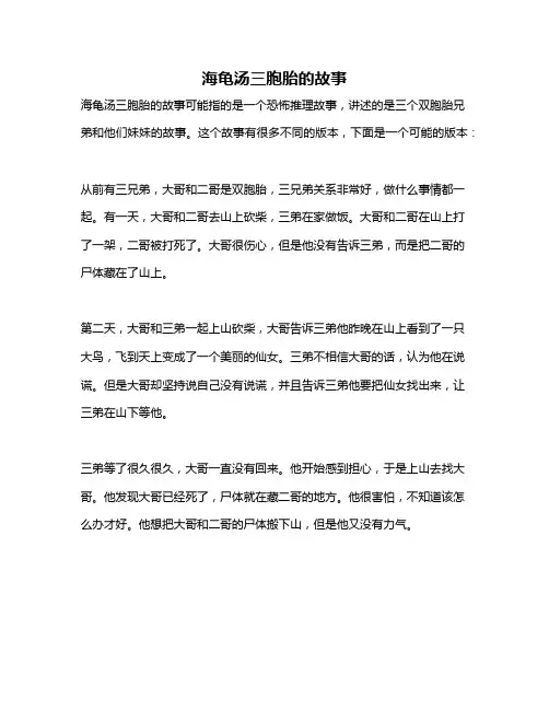 海龟汤三胞胎的故事