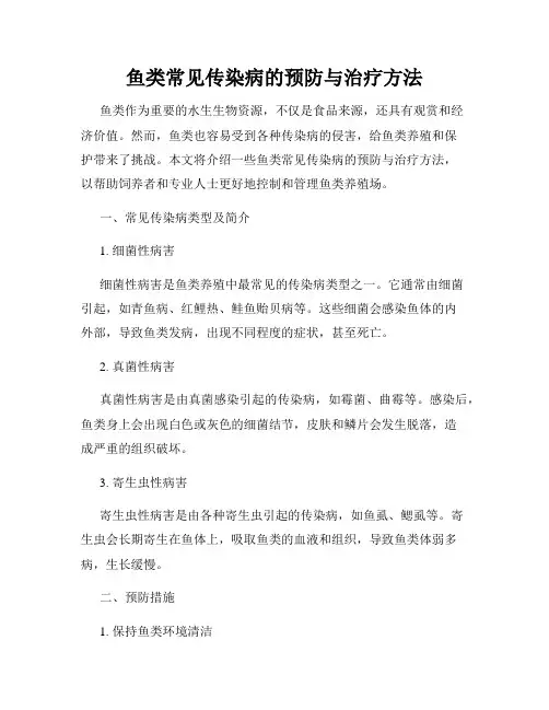鱼类常见传染病的预防与治疗方法