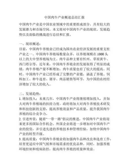 中国肉牛产业概述总结汇报