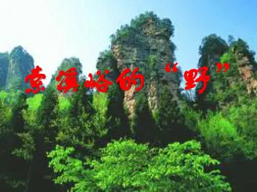 《索溪峪的“野”》PPT课件下载5 (共41张PPT)
