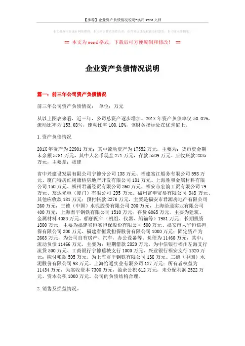 【推荐】企业资产负债情况说明-实用word文档 (7页)