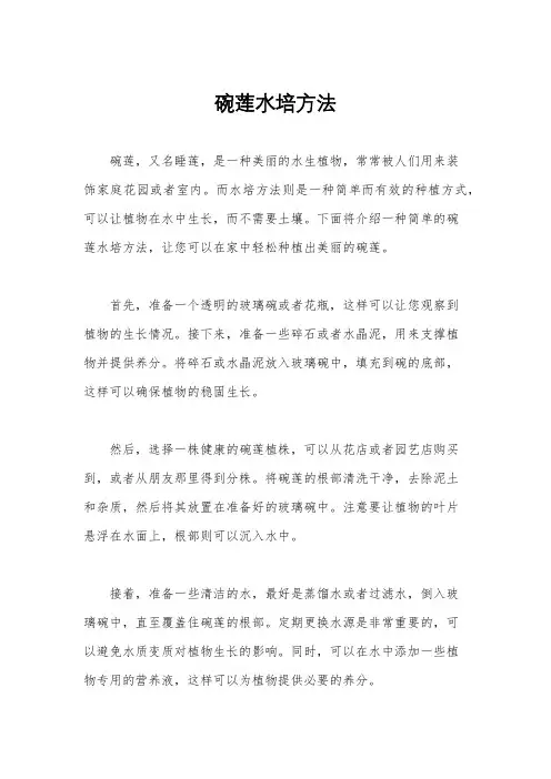 碗莲水培方法