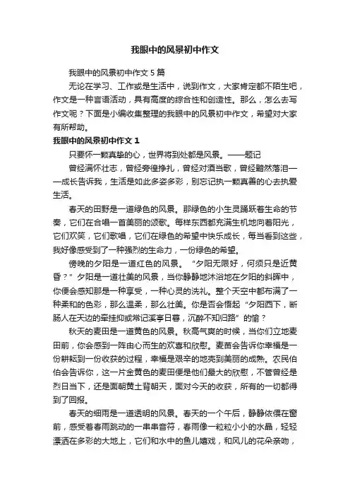 我眼中的风景初中作文