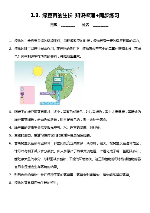 五年级科学下册1-3《绿豆苗的生长》知识梳理 同步练习(含答案)